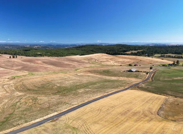 $239,000 | 0 Brown Road, Lenore, ID 83541