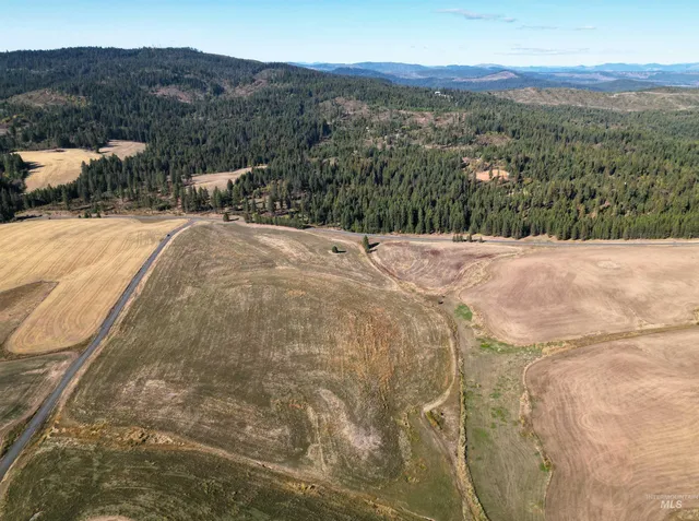 $239,000 | 0 Brown Road, Lenore, ID 83541