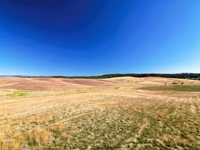 $239,000 | 0 Brown Road, Lenore, ID 83541