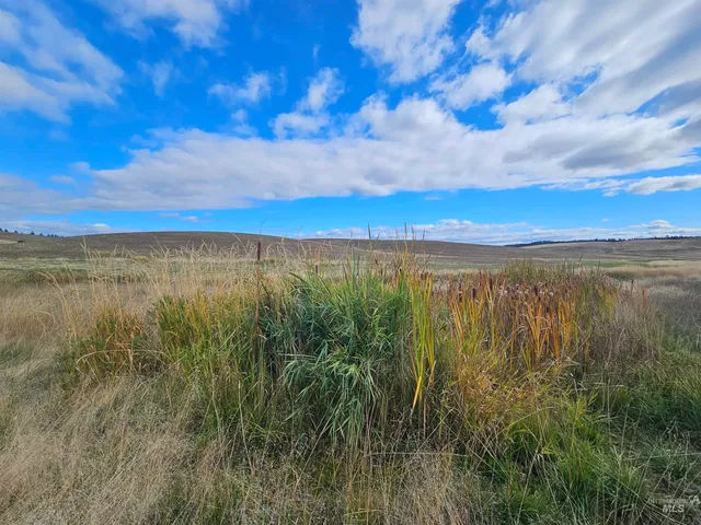 $239,000 | 0 Brown Road, Lenore, ID 83541