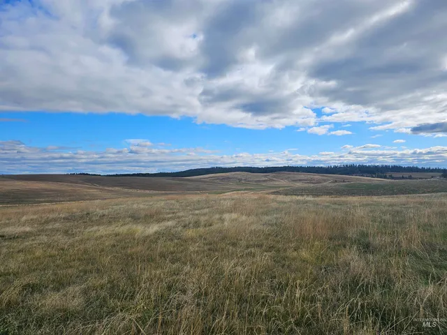 $214,000 | 0 Brown Road, Lenore, ID 83541