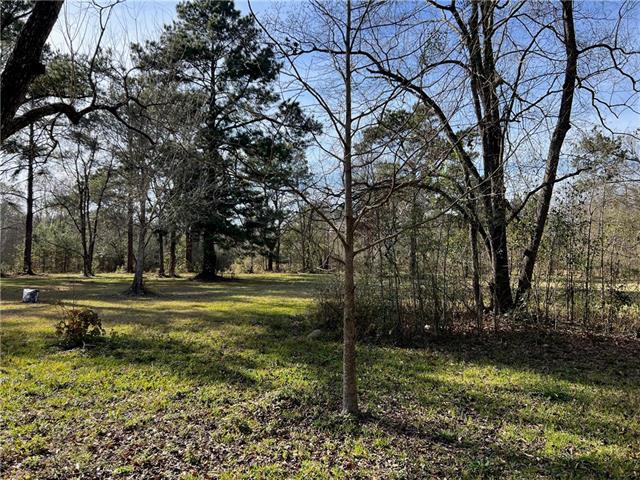 0 West Yellow Water Road Hammond, LA 70403 - Photo 5 of 11