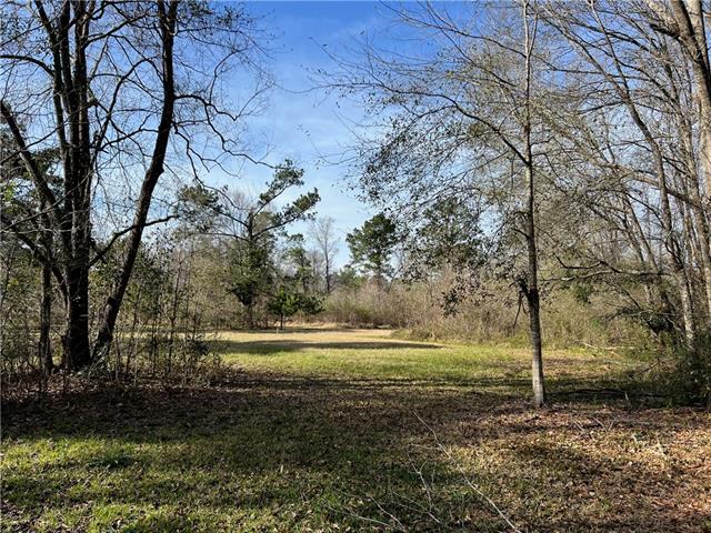0 West Yellow Water Road Hammond, LA 70403 - Photo 6 of 11