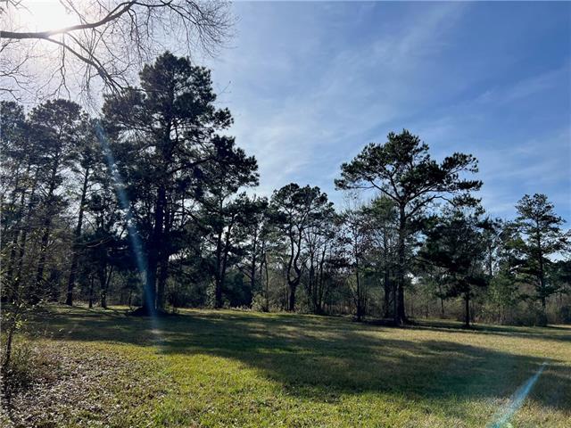 0 West Yellow Water Road Hammond, LA 70403 - Photo 7 of 11