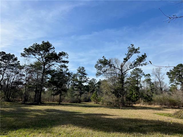 0 West Yellow Water Road Hammond, LA 70403 - Photo 8 of 11