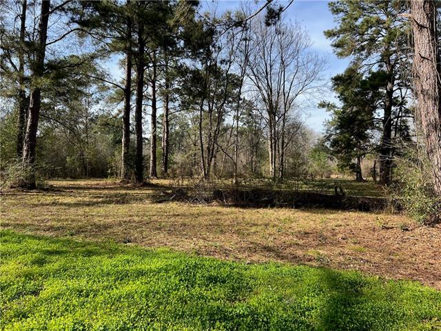 0 West Yellow Water Road Hammond, LA 70403 - Photo 9 of 11