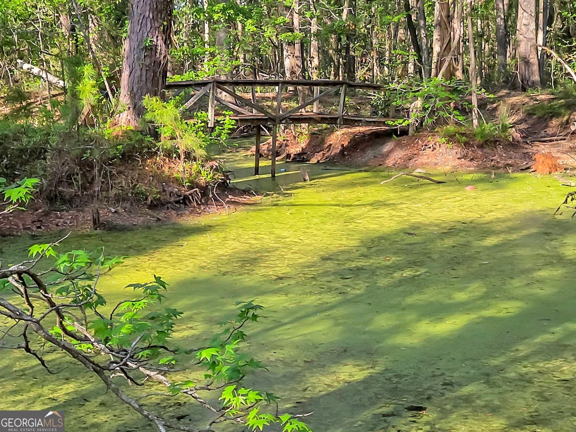 17 Broomstraw Trace Ellabell, GA 31308 - Photo 44 of 47
