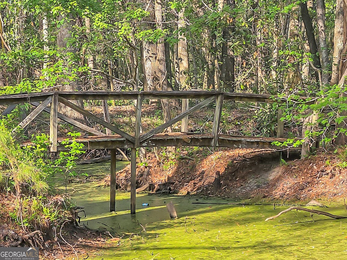 17 Broomstraw Trace Ellabell, GA 31308 - Photo 45 of 47