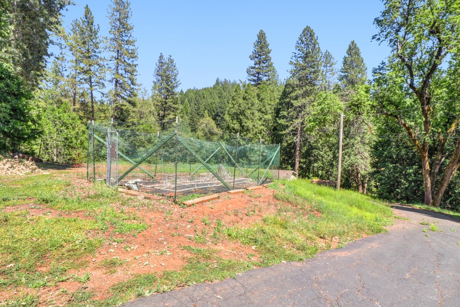4909 Clear Creek Road Placerville, CA 95667 - Photo 52 of 66