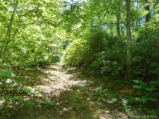 2120 Houston Road Columbus, NC 28722 - Photo 2 of 16 Gallery Image 2