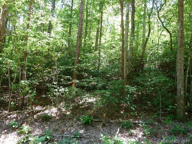 2120 Houston Road Columbus, NC 28722 - Photo 13 of 16 Gallery Image 13