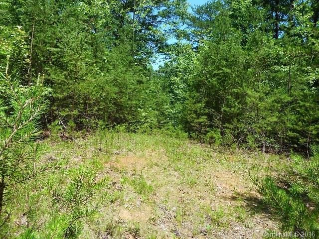 2120 Houston Road Columbus, NC 28722 - Photo 4 of 16 Gallery Image 4
