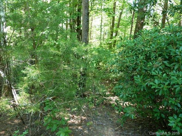 2120 Houston Road Columbus, NC 28722 - Photo 7 of 16 Gallery Image 7