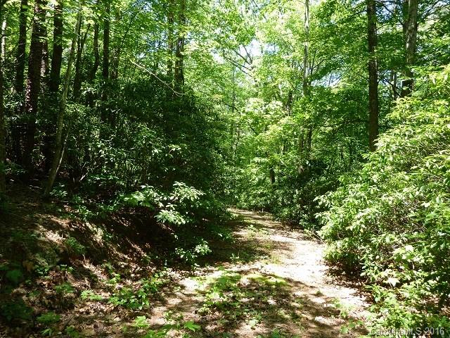 2120 Houston Road Columbus, NC 28722 - Photo 9 of 16 Gallery Image 9