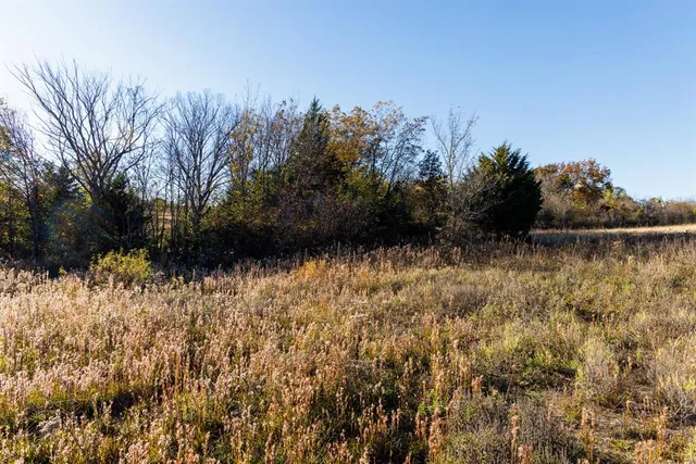 a view of a field of grass and trees