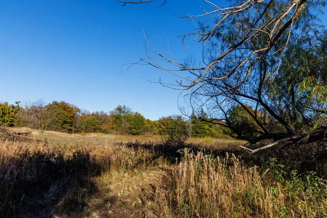 a view of yard with tree and green space