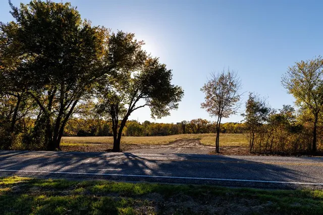 a view of a yard with large trees