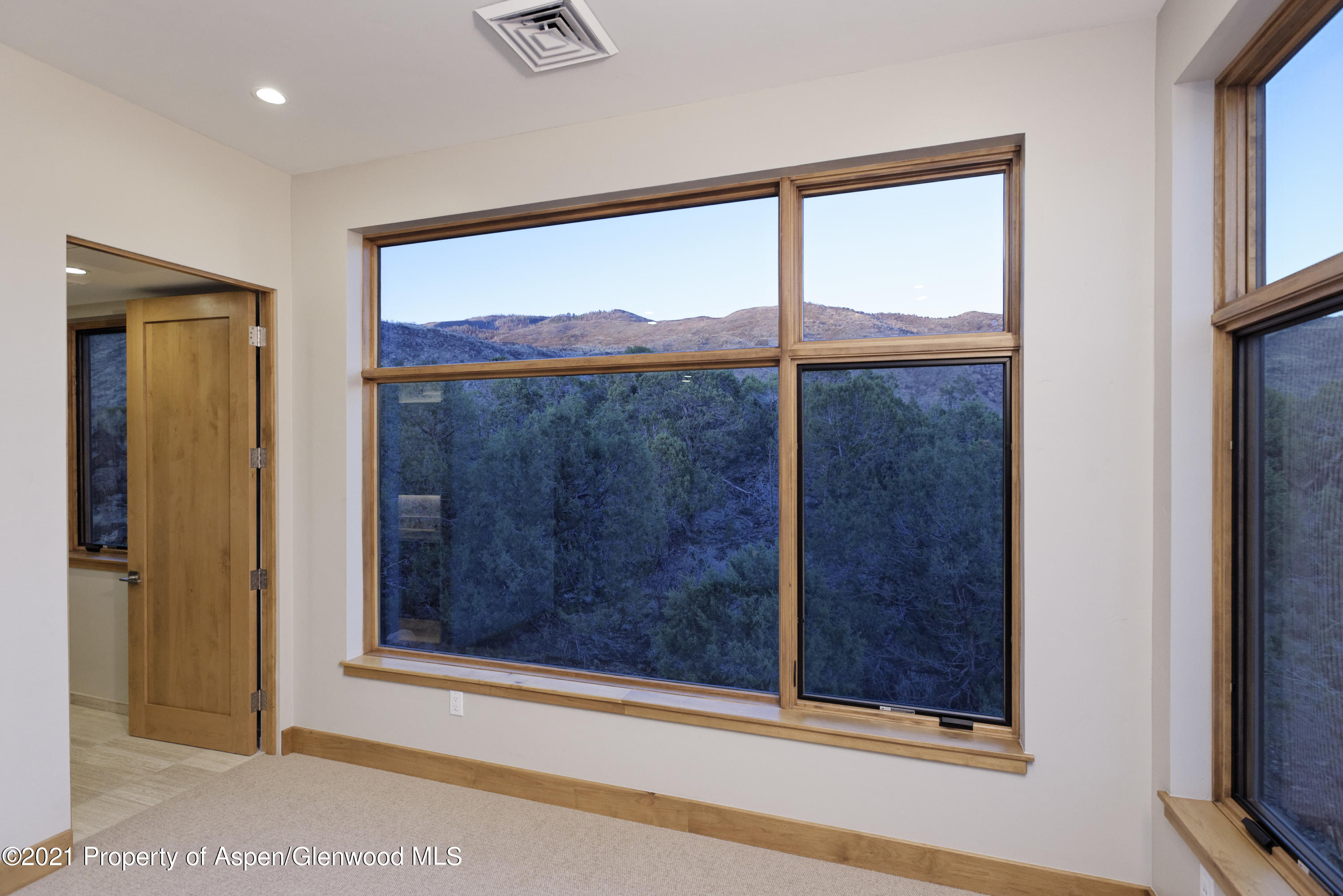 350 Overlook Ridge Basalt, CO 81621 - Photo 31 of 53 a view of a door and wooden floor