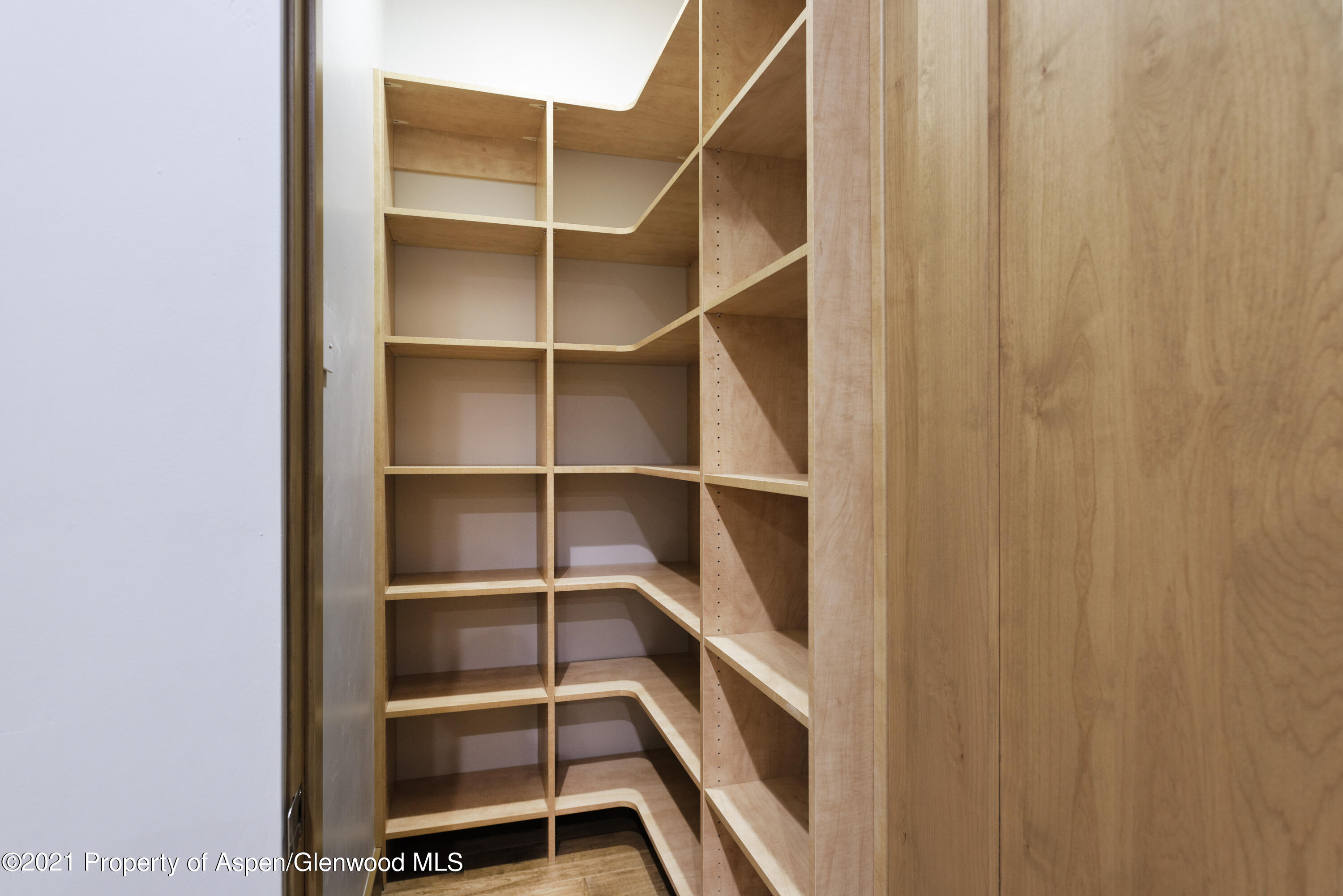350 Overlook Ridge Basalt, CO 81621 - Photo 49 of 53 a view of walk in closet with empty racks
