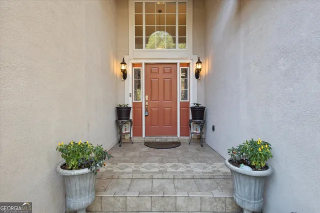 a potted plant sitting in front of a door