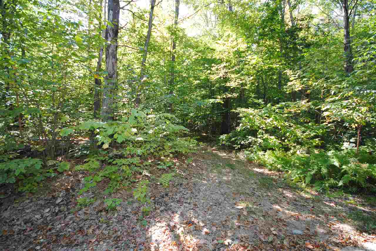 Tbd Tbd Towle Road Chichester, NH 03258 - Photo 14 of 18