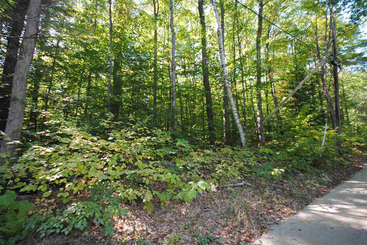 Tbd Tbd Towle Road Chichester, NH 03258 - Photo 4 of 18