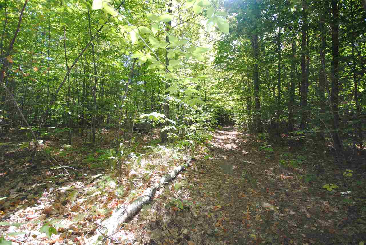 Tbd Tbd Towle Road Chichester, NH 03258 - Photo 5 of 18