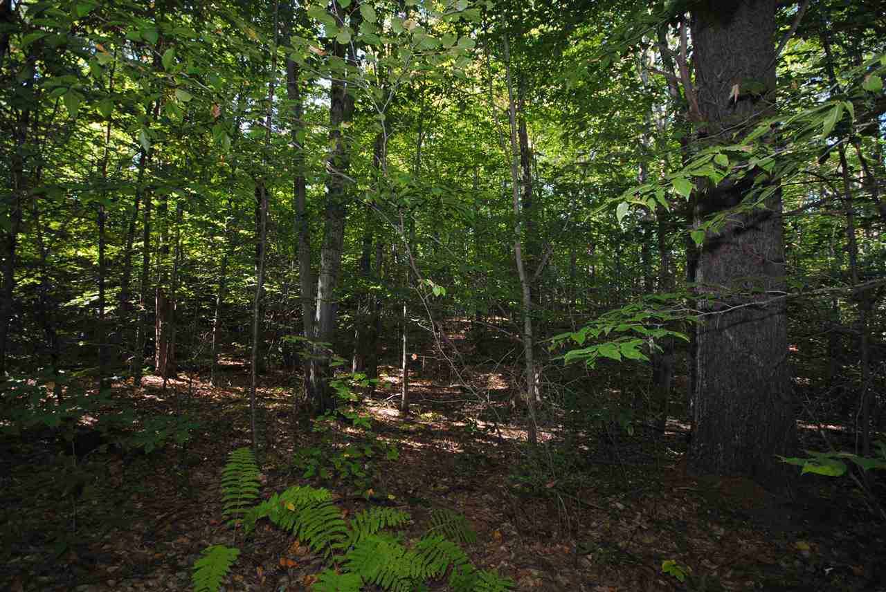 Tbd Tbd Towle Road Chichester, NH 03258 - Photo 6 of 18