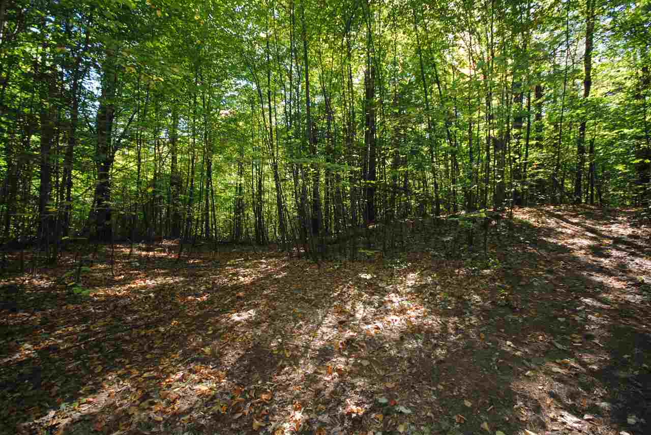 Tbd Tbd Towle Road Chichester, NH 03258 - Photo 7 of 18