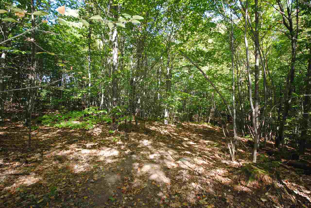 Tbd Tbd Towle Road Chichester, NH 03258 - Photo 9 of 18