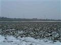 0 Leland Road Waterman, IL 60556 - Photo 1 of 5
