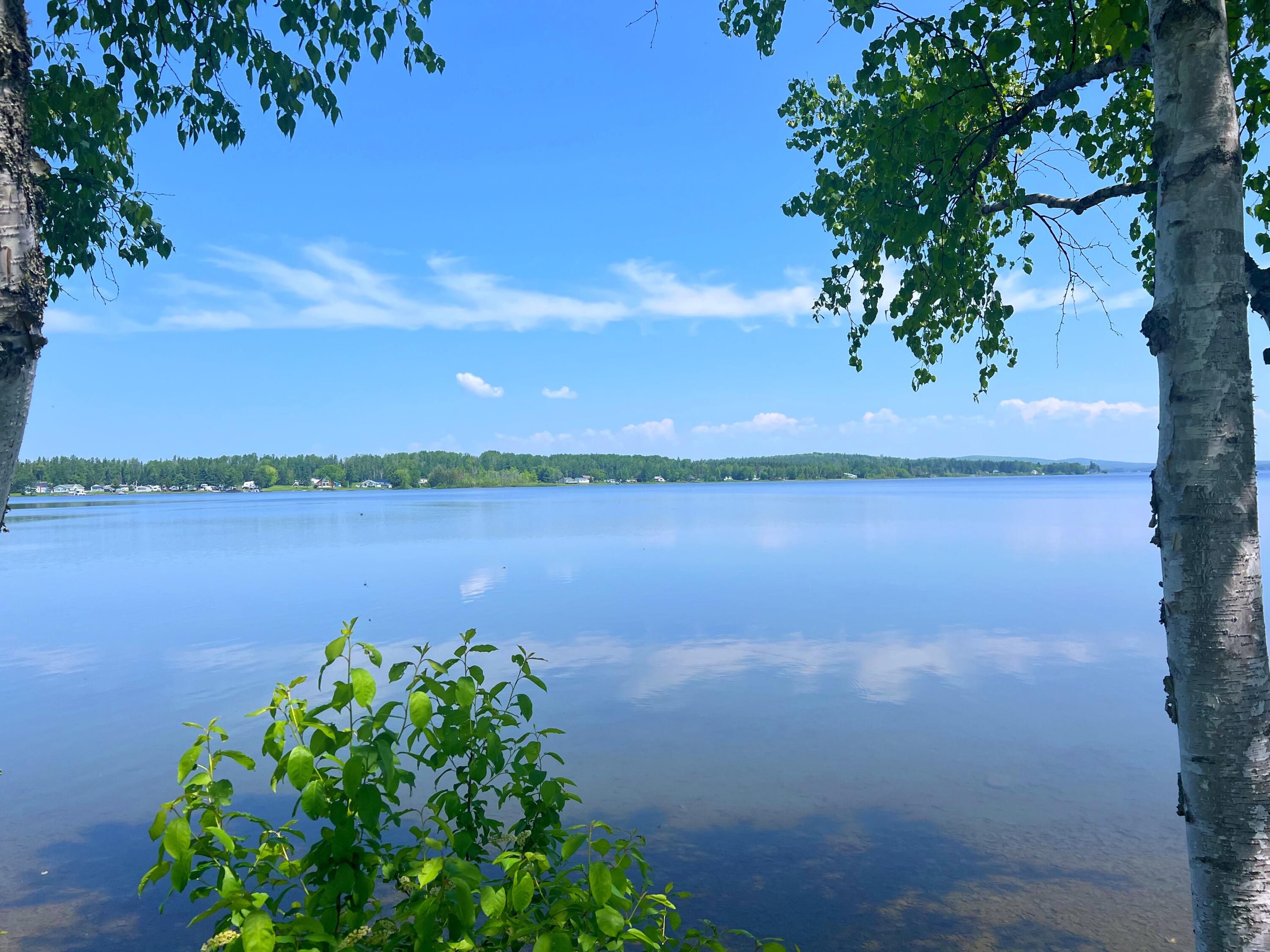 484 Shore Road Sinclair, ME 04779 - Photo 11 of 40 IMG_4408