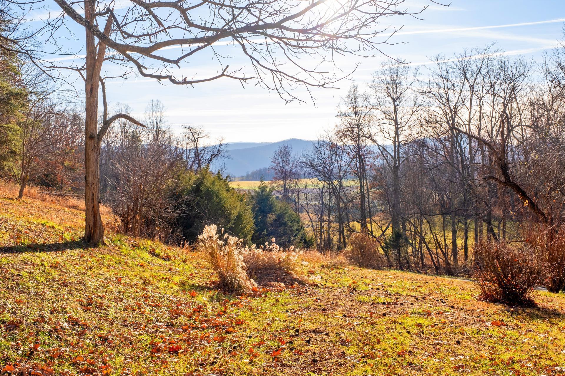 1381 Timber Ridge Road Fairfield, VA 24435 - Photo 4 of 48 Gallery Image 4