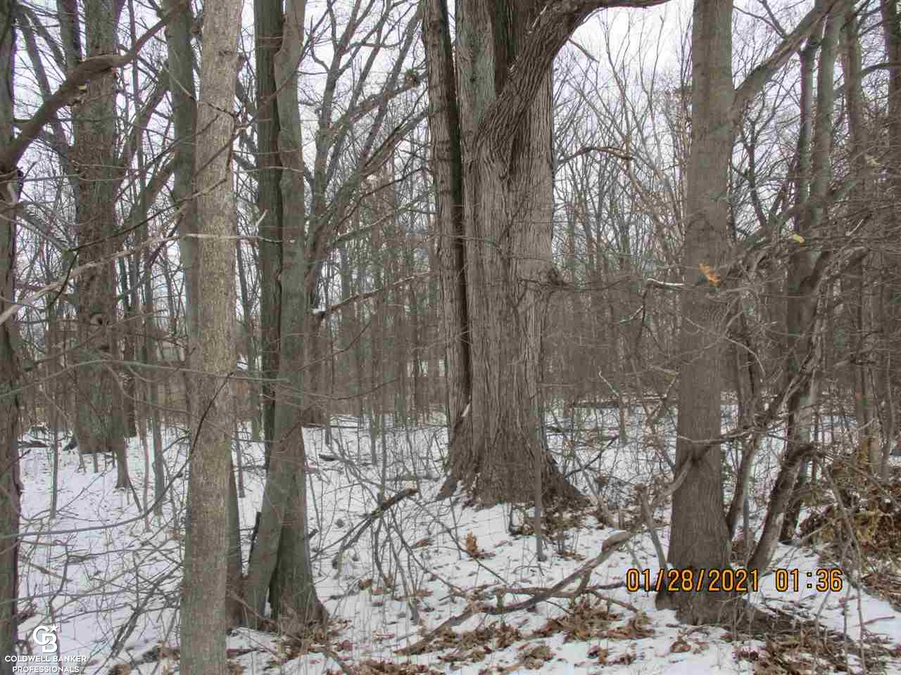 0 Place Road New Haven, MI 48050 - Photo 10 of 13 Gallery Image 10