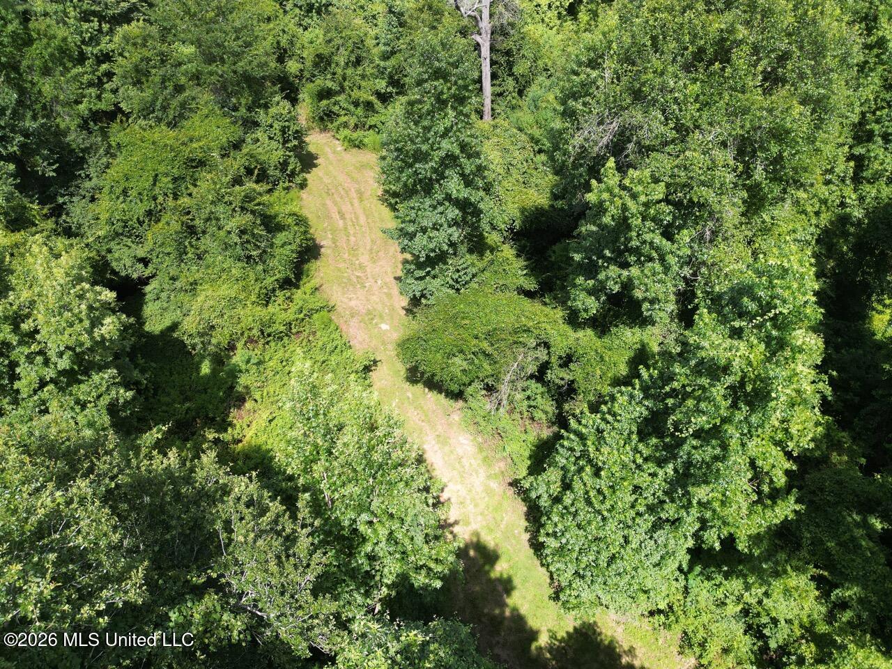 Pam Road Aimwell, LA 71401 - Photo 8 of 38 DJI_0444 Large