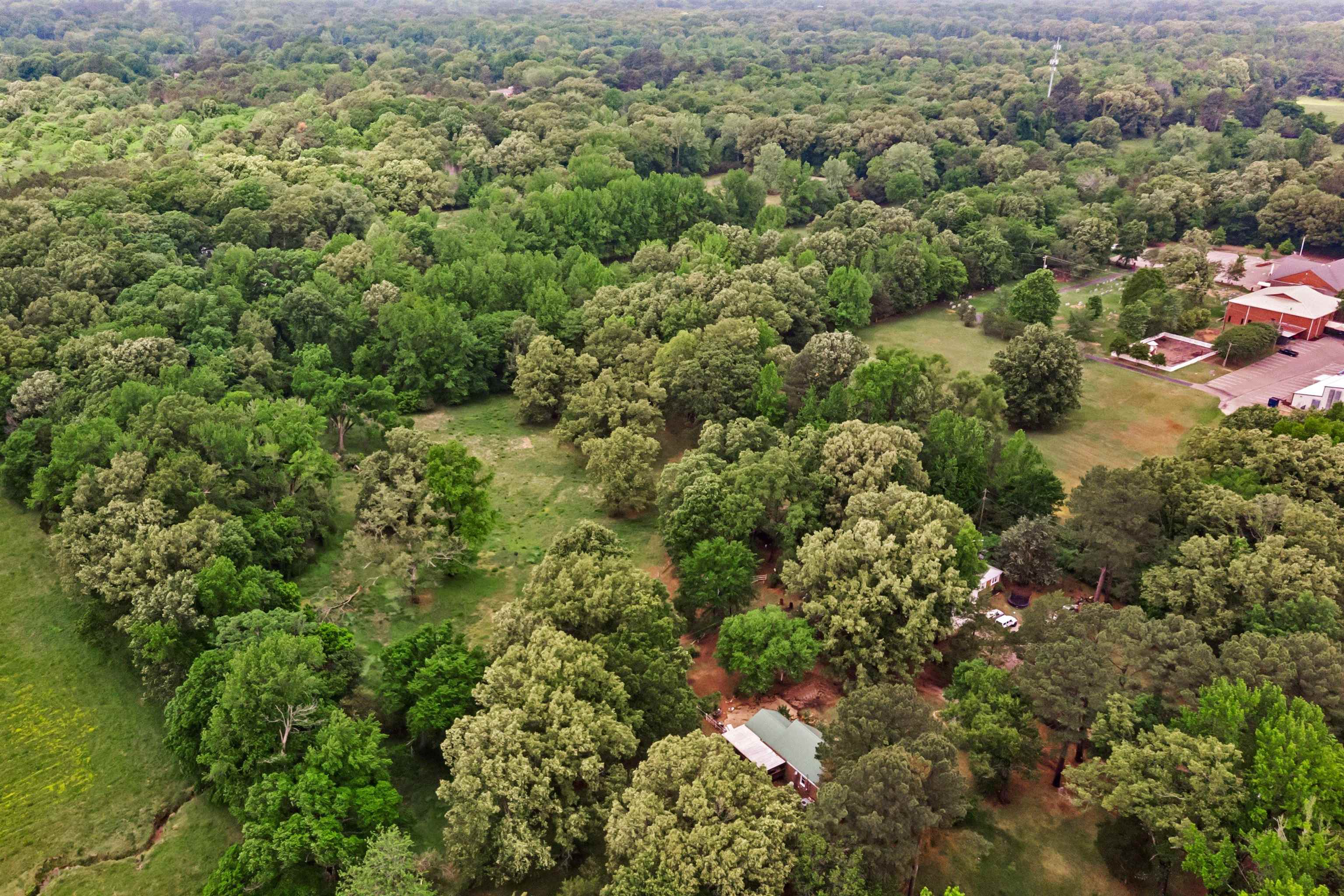 1147 North Collierville Arlington Road Collierville, TN 38017 - Photo 3 of 17 Expansive property featuring mature trees and open grassy areas