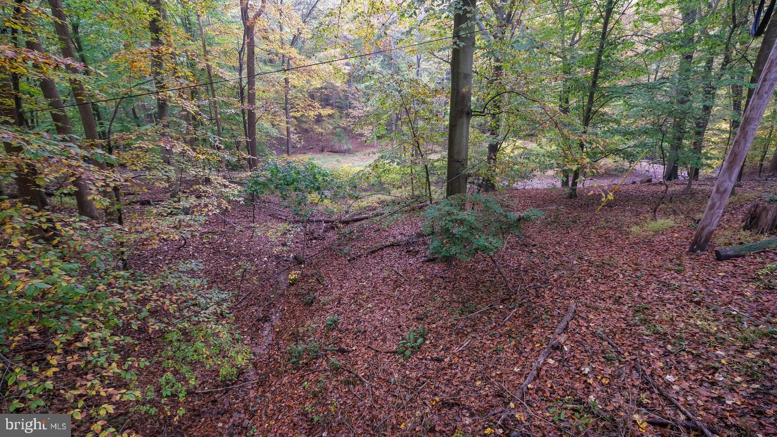 3 Rampart East Media, PA 19063 - Photo 28 of 33 Gallery Image 28