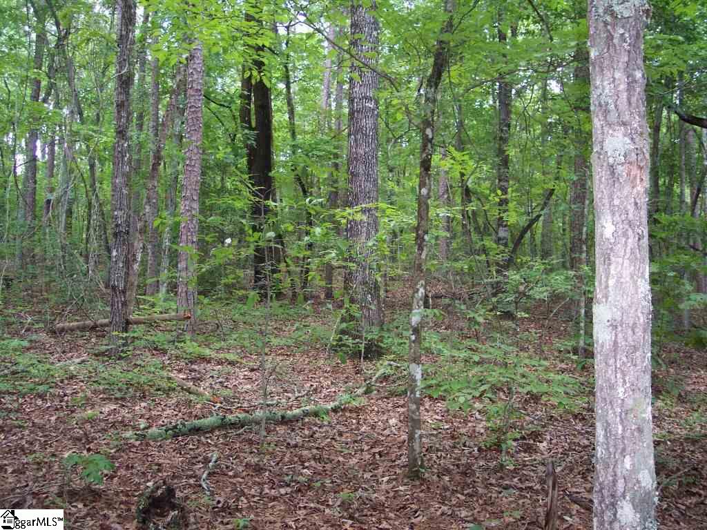 23 B Curts Way Cleveland, SC 29635 - Photo 1 of 1
