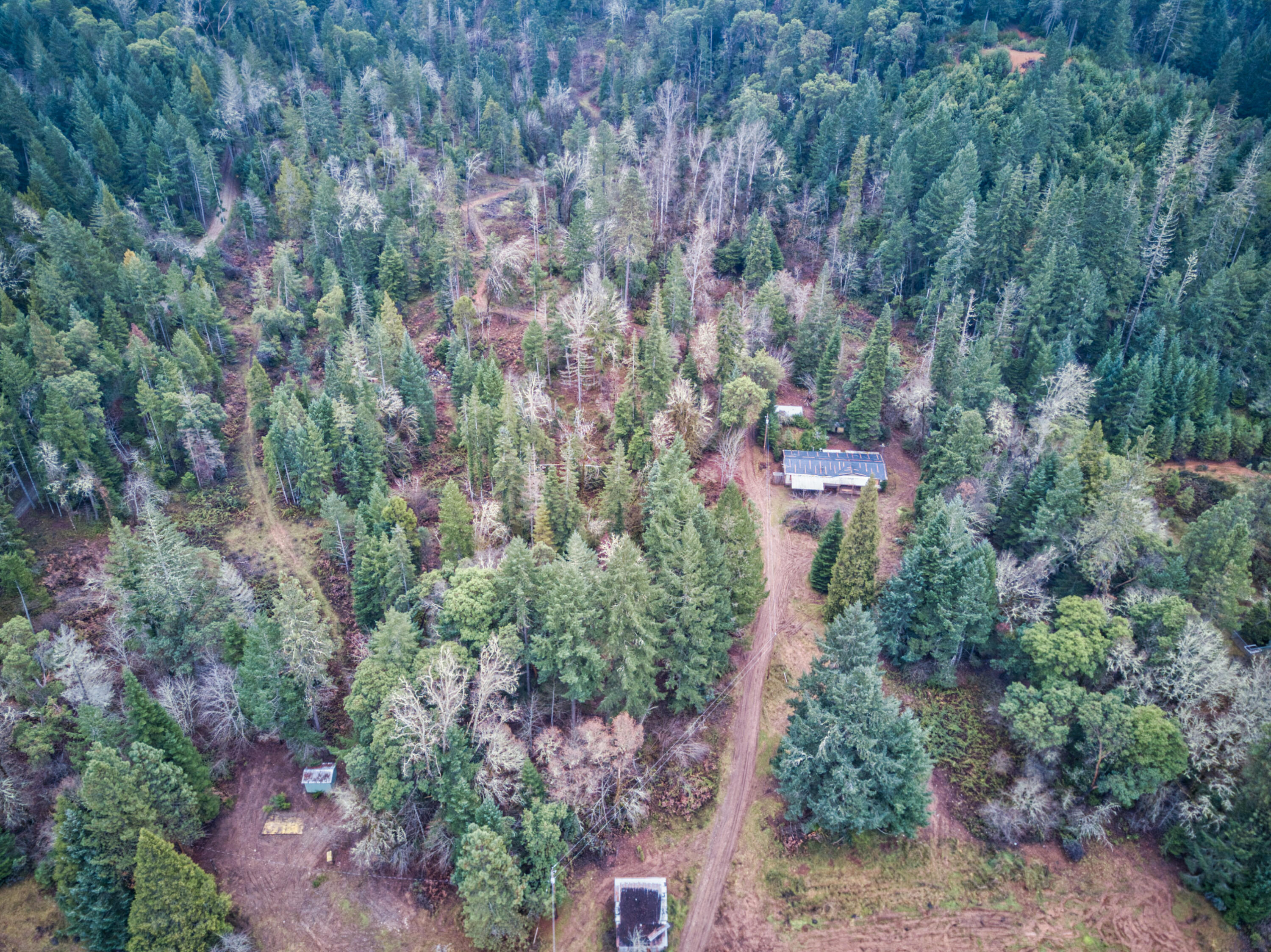 417 North Frontage Road Wolf Creek, OR 97497 - Photo 6 of 19 Frontage-5