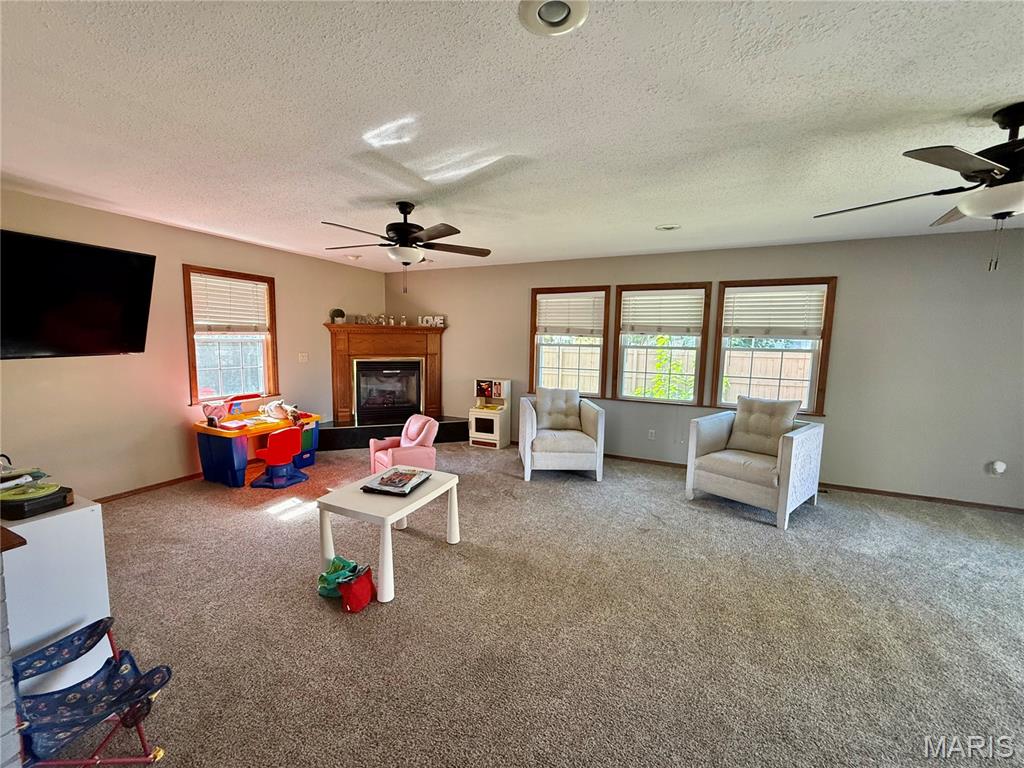 227 Wolf Avenue Hamel, IL 62046 - Photo 17 of 24