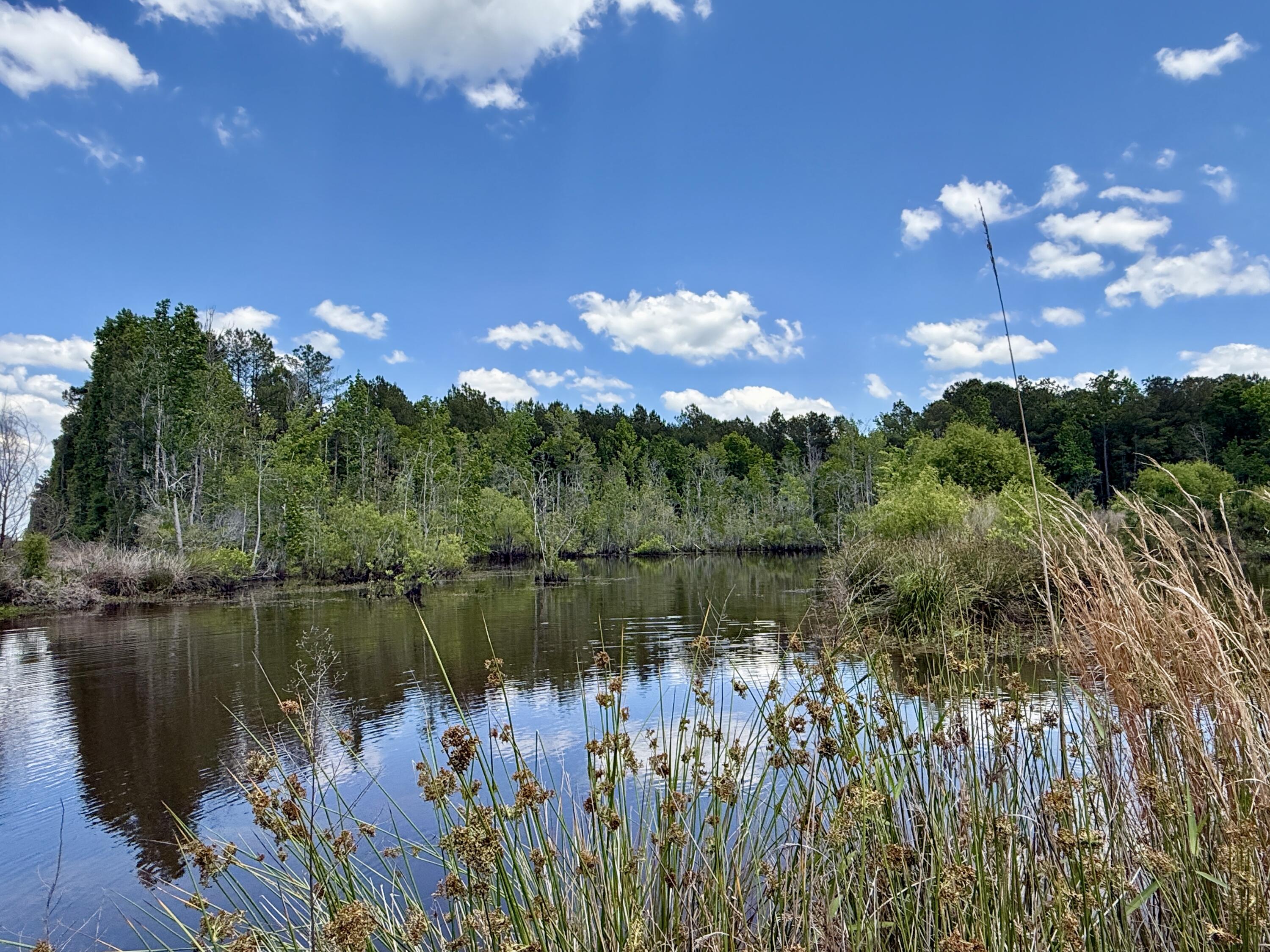 337 Weathers Farm Road Bowman, SC 29018 - Photo 39 of 78