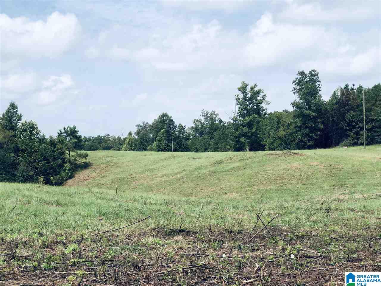 0 Rose Lane, Unit 1 2 Montevallo, AL 35115 - Photo 2 of 14