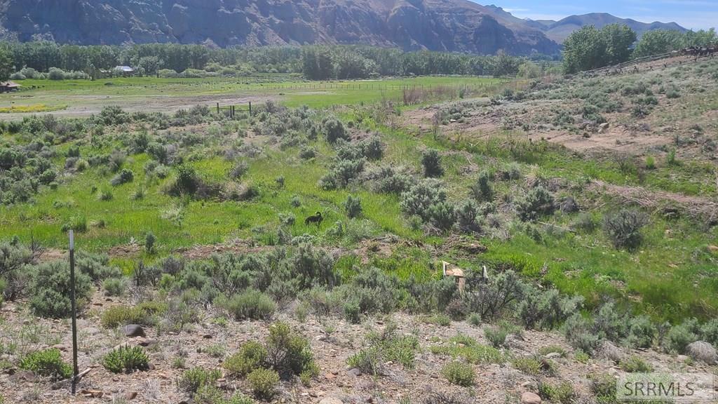 6 Homestead Trail Challis, ID 83226 - Photo 25 of 36