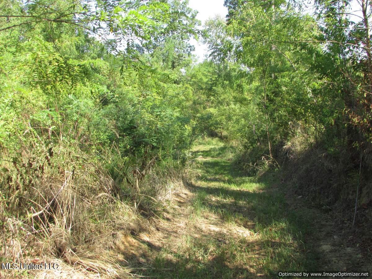 Whitaker Road Hermanville, MS 39086 - Photo 5 of 19 IMG_0006