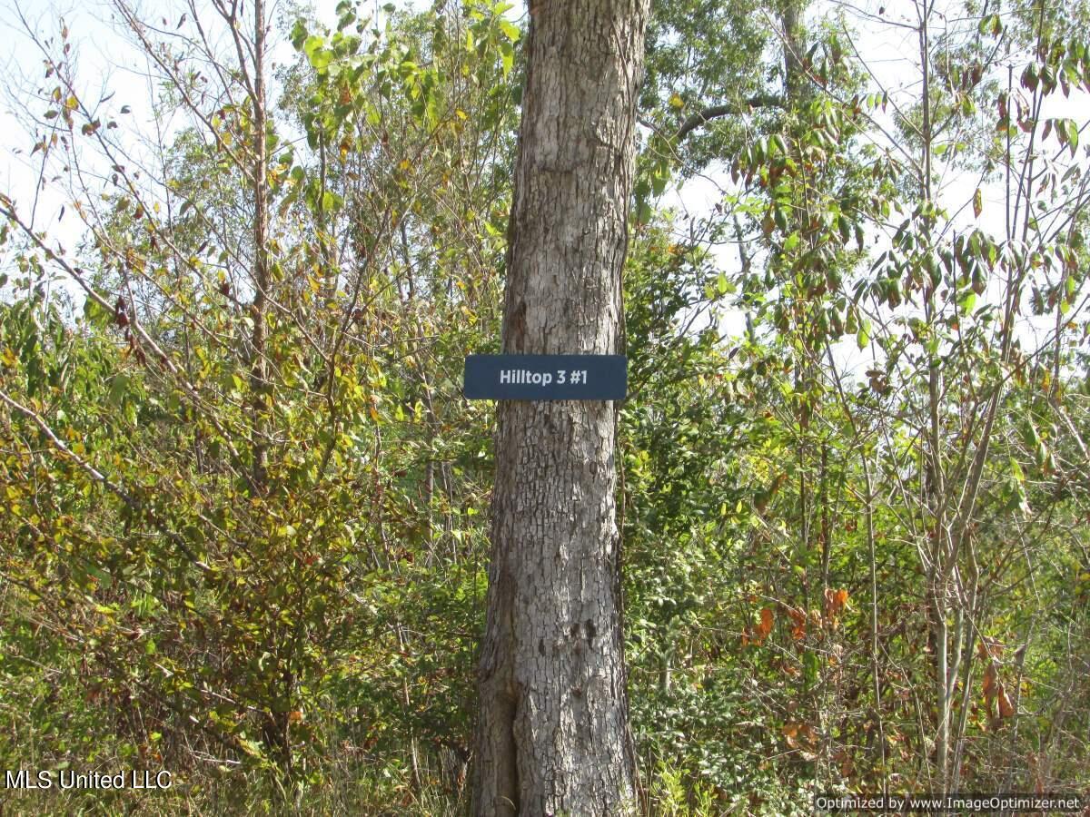Whitaker Road Hermanville, MS 39086 - Photo 8 of 19 IMG_0012