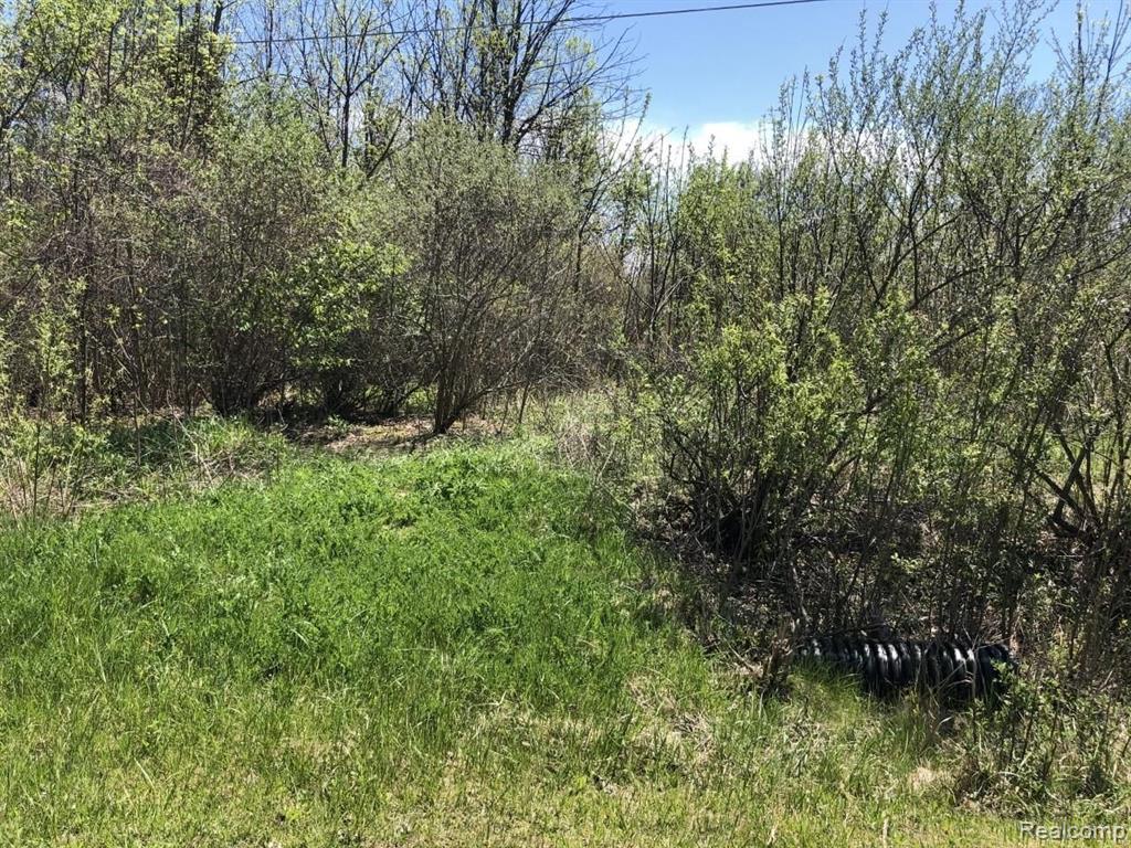 V L V L Riniel Drive Lennon, MI 48449 - Photo 1 of 1