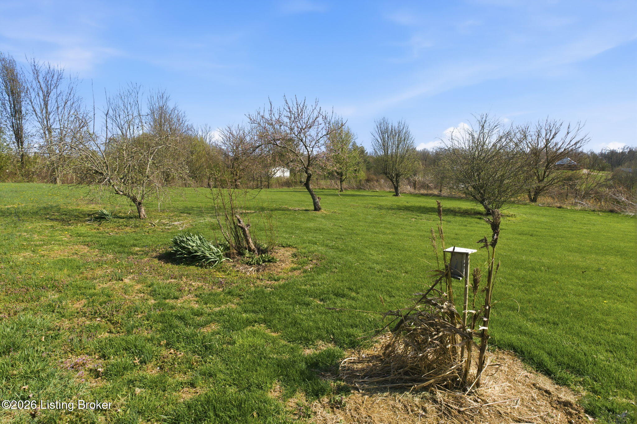 2512 Jackson Road Eminence, KY 40019 - Photo 25 of 118 2512 Jackson Rd-25