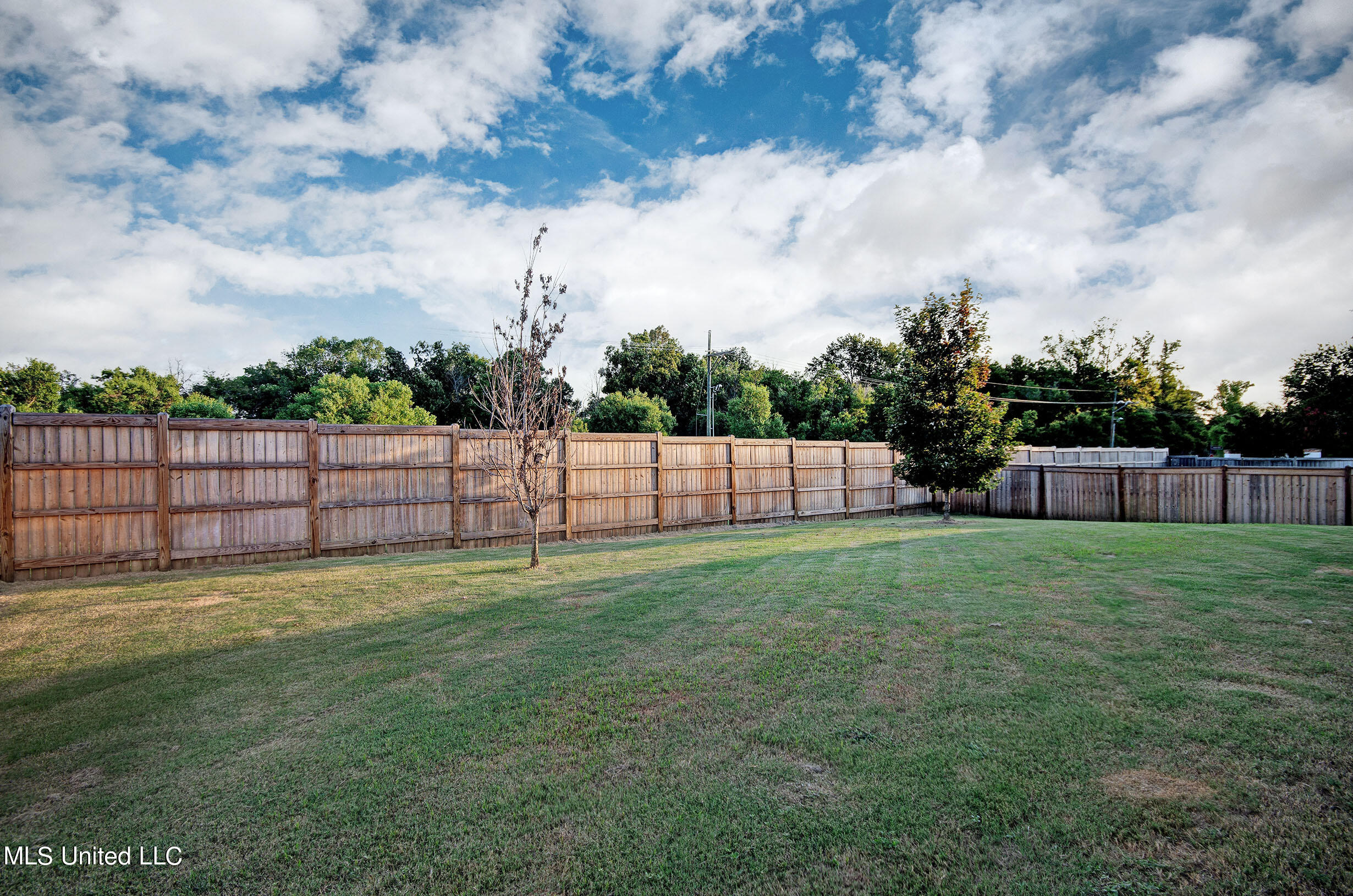 205 Harris Circle Madison, MS 39110 - Photo 31 of 32 205 Harris Cir Back Yard View