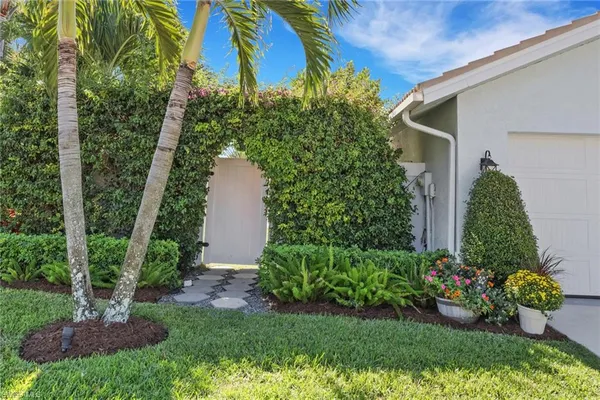 a view of a backyard with potted plants and large tree