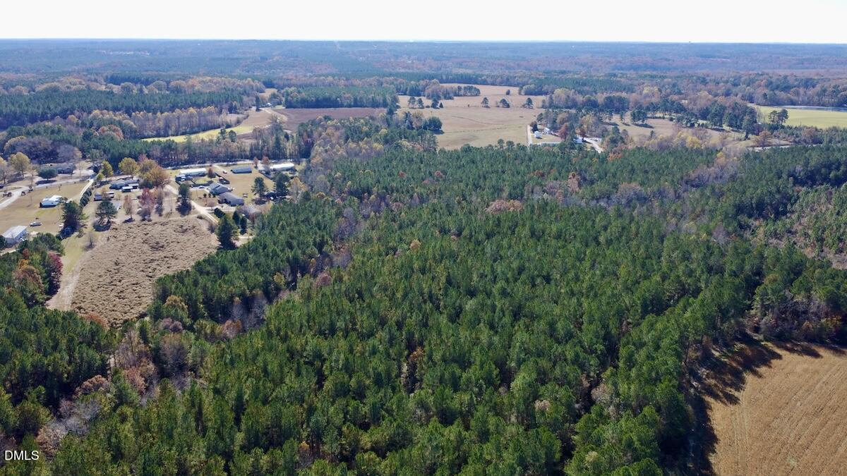 0 McDougald Road Broadway, NC 27505 - Photo 10 of 31 10